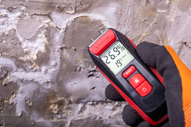 Best Residential Mold Remediation in Highland City, FL