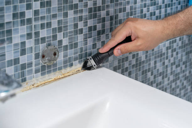 Best Basement Mold Remediation in Highland City, FL